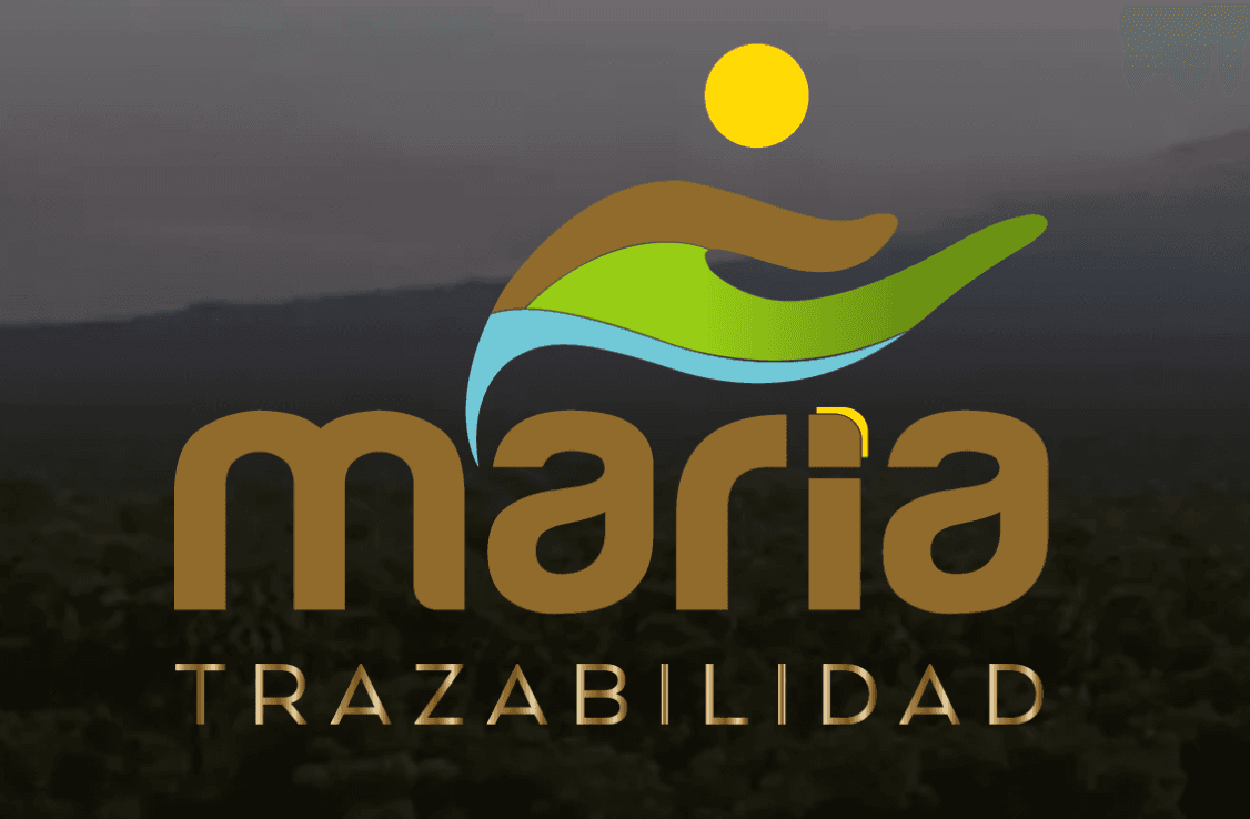 Maria Trazabilidad
